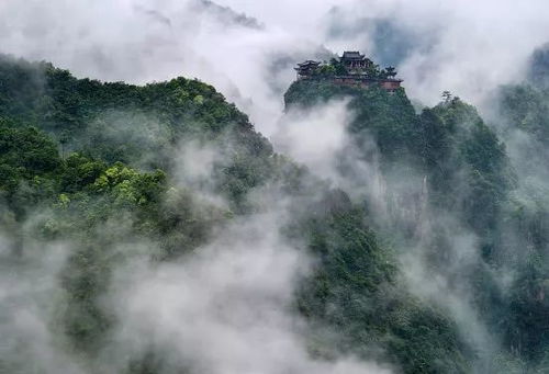 武义山海协作旅游推介会将在海宁举行 夏日美景等你相逢