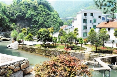 武义报数字报刊平台-沈家村打造精品乡村游