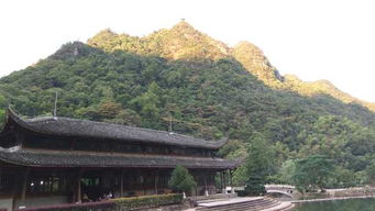 避暑武义牛头山10日图片
