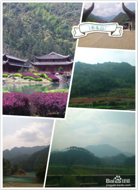 武义旅游之牛头山