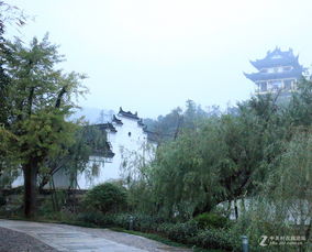 浙江武义行 一