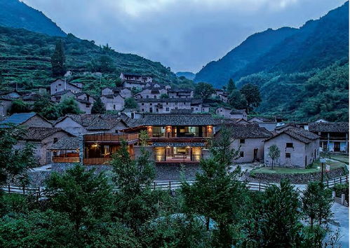 最美乡村的居住理想