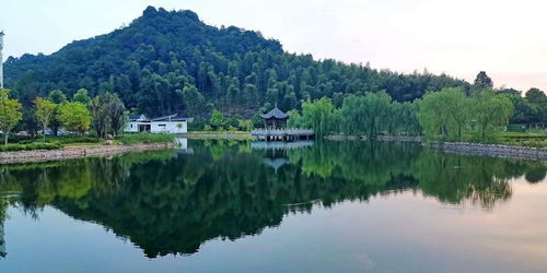 解题农村有机更新,金华武义因村制宜绘就 和美乡村 画卷