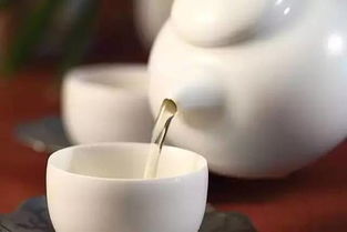 免费一日游 万人品茶大会 ,等着与您相约,去武义品一口 有机 味道