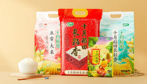 十月稻田盈利能力领先,全渠道运营和供应链体系构筑护城河