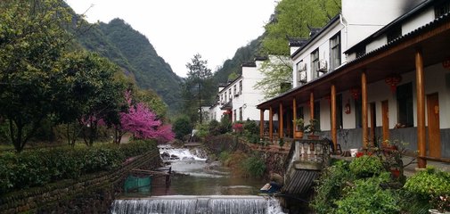 武义青枫谷山庄网上预订,地址,价格,电话查询【携程客栈】