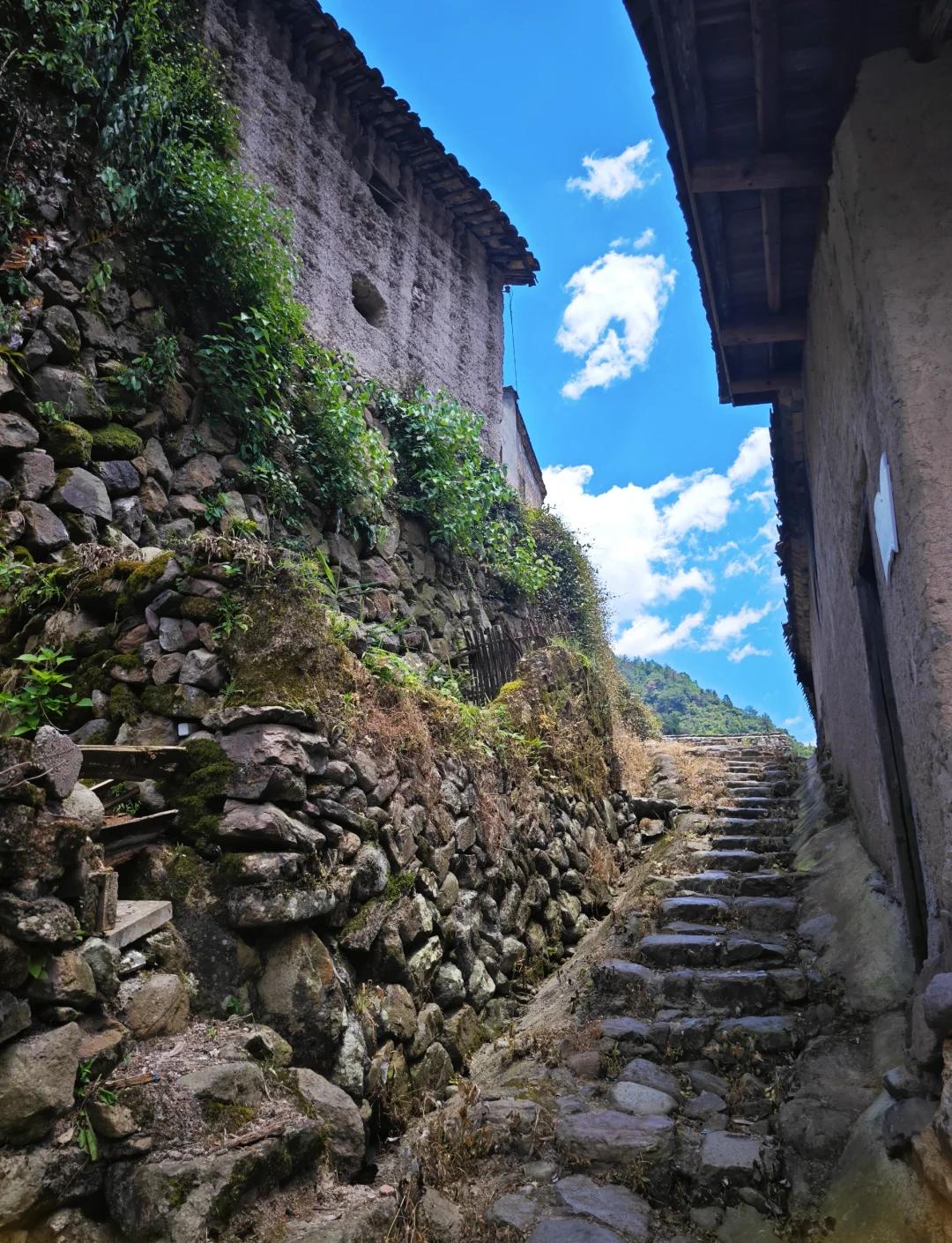 探秘金华武义:延福寺与山下鲍村的古韵