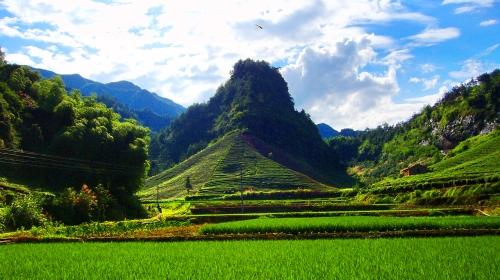 浙江武义3日2晚跟团游 武义熟溪廊桥 牛头山 大红岩 寿仙谷