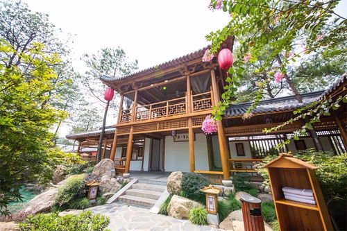 浙江武义 不止有 温泉 ,大步迈向 绿富美
