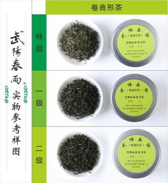 武义县首次发布 武阳春雨 实物样