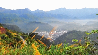 锦后:一个美丽的山村--武义新闻网