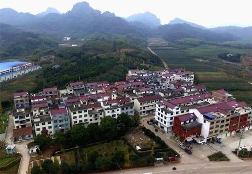 369 行动 决胜小康战正酣