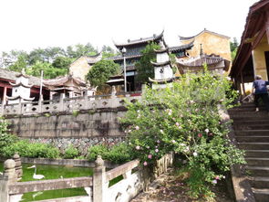 浙江武义延福寺记游