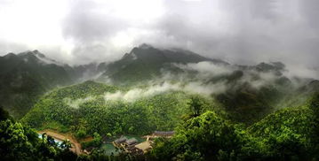华东地区首家3d特效玻璃栈道落座武义牛头山,五一小长假免费玩