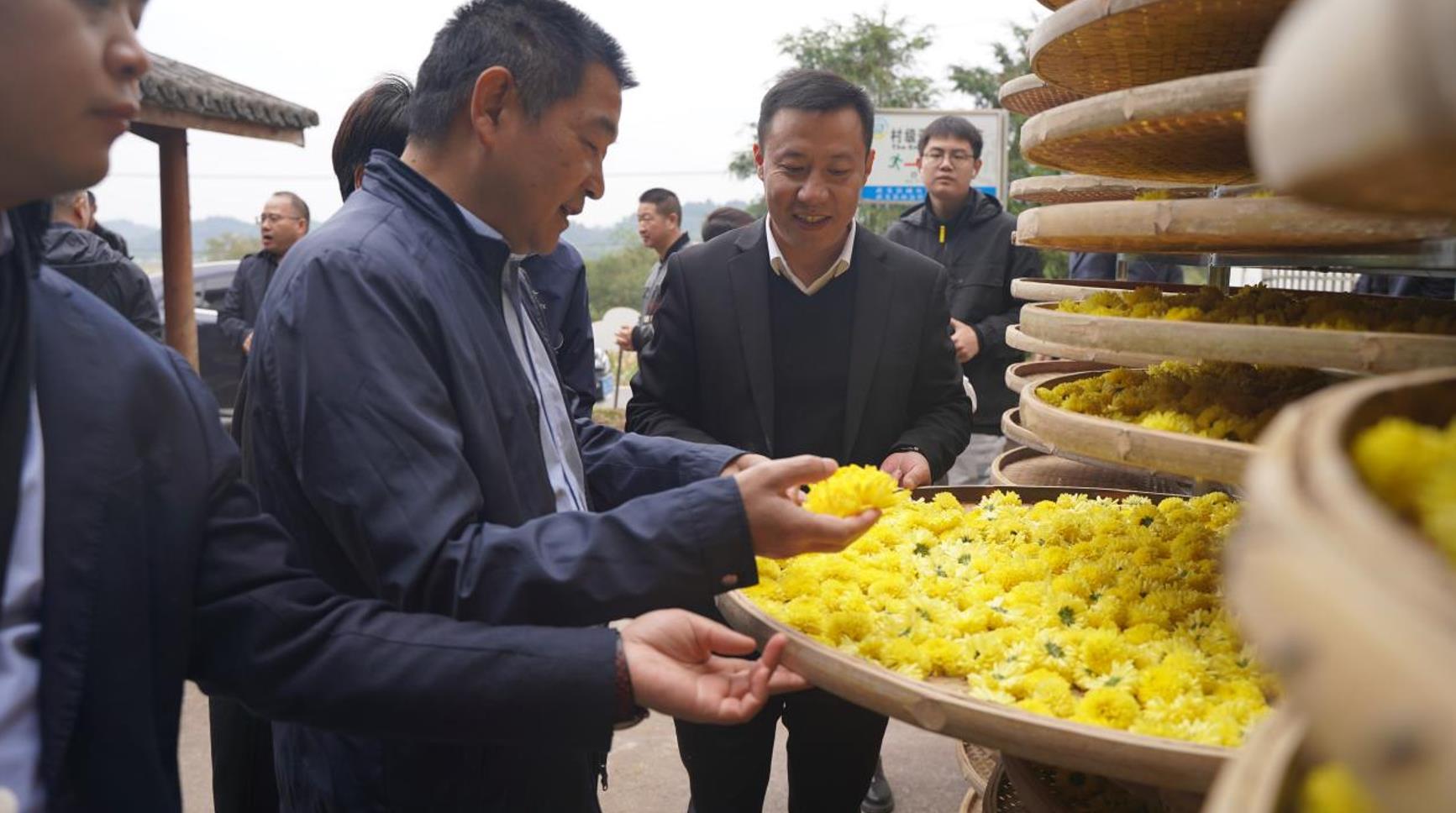 金华市综合行政执法局带队赴武义白衣坑村开展“千团联千村”结对帮扶活动