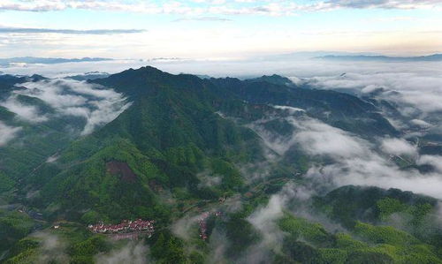 云游中国,航拍白云绕竹海,山巅美如画