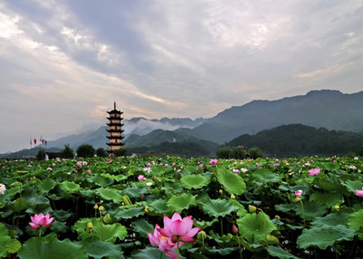 【家规·人文地理】明招山怀古