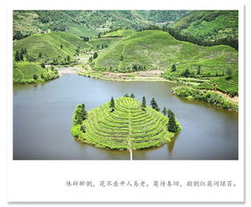 武义牛头山 重拾儿时记忆，梦归山里人家