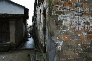 赵宅 武义东部陆路商品集散地的历史与现状