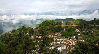 金华武义新规落地 10月起资金用地管理趋严，事关家乡发展