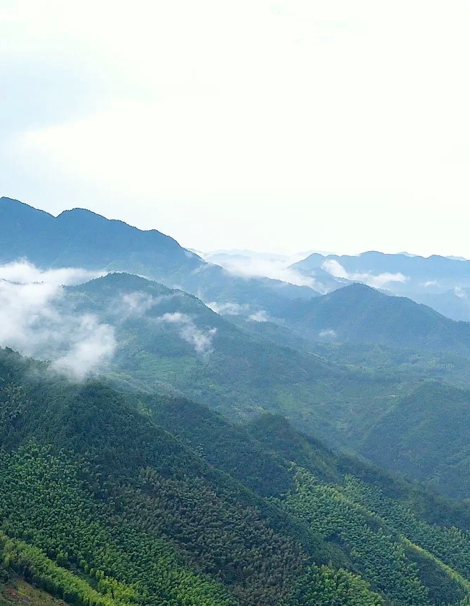 探索武义牛头山 江南秘境的绝美之旅
